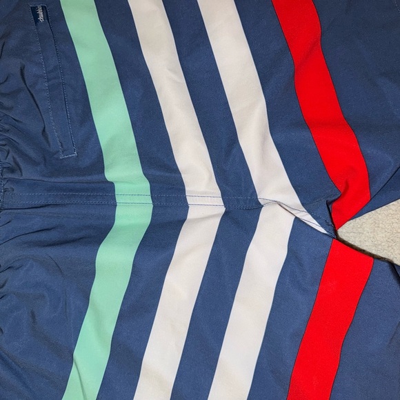 Chubbies Swim Trunks - Picture 11 of 12